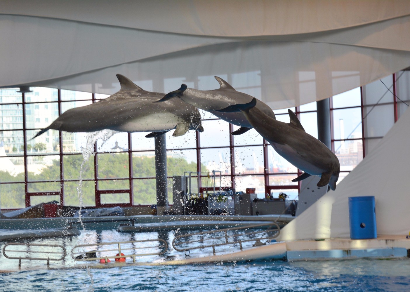 baltimore aquarium dolphin tour