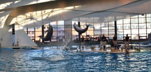 dolphin show baltimore