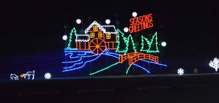 bull run festival of lights