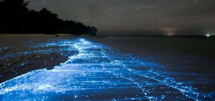 maldives' glowing beaches