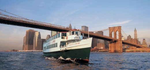 circle line cruises