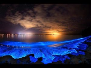 glowing beach