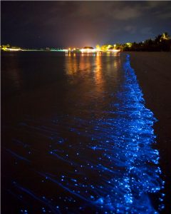 glowing beach