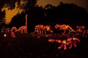 weekend getaways from dc