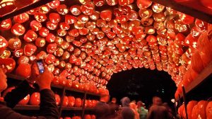 fall weekend getaways from DC