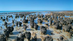 warm winter destinations