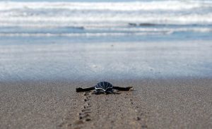 warm winter destinations