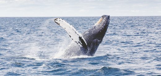 warm winter destinations