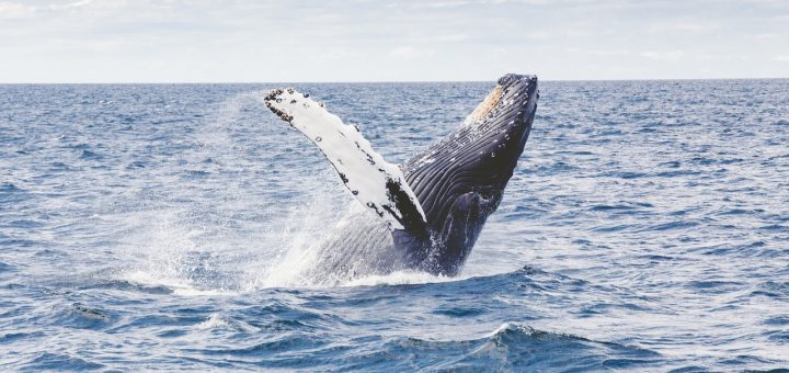 warm winter destinations