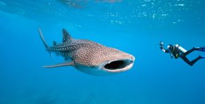 warm winter destinations