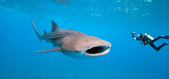 warm winter destinations