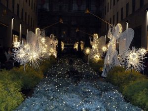 beautiful christmas trees