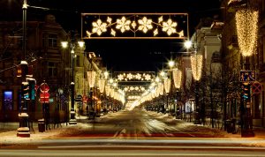 beautiful christmas trees