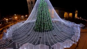 beautiful christmas trees