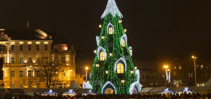 beautiful christmas trees