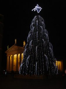 beautiful christmas trees