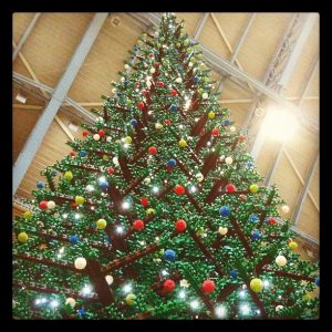 unusual christmas trees