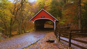new england fall foliage