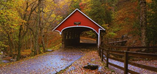 new england fall foliage