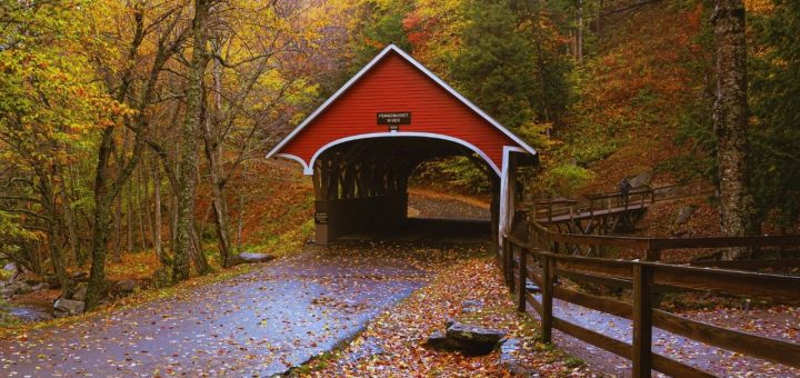 new england fall foliage