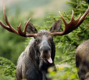 things to do in New Hampshire during fall