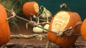 things to do in New Hampshire during fall