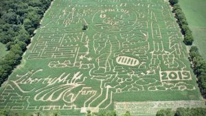 washington dc getaways