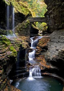 watkins glen