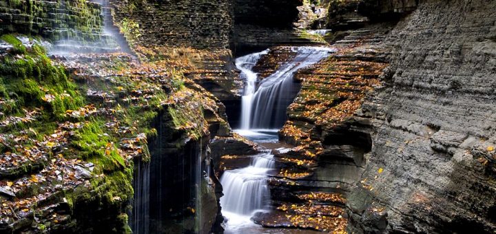 watkins glen