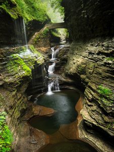 watkins glen