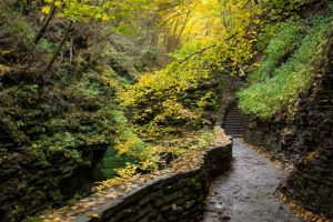 watkins glen new york