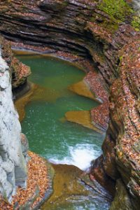 watkins glen finger lakes