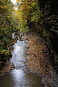 watkins glen ithaca