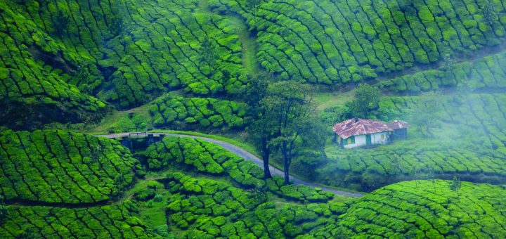 tourist attractions in munnar